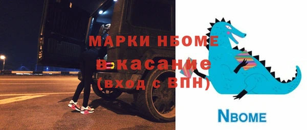 ПСИЛОЦИБИНОВЫЕ ГРИБЫ Козловка
