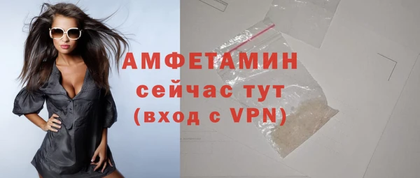 ПСИЛОЦИБИНОВЫЕ ГРИБЫ Козловка