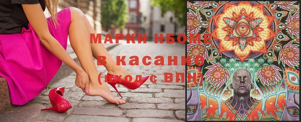 ПСИЛОЦИБИНОВЫЕ ГРИБЫ Козловка
