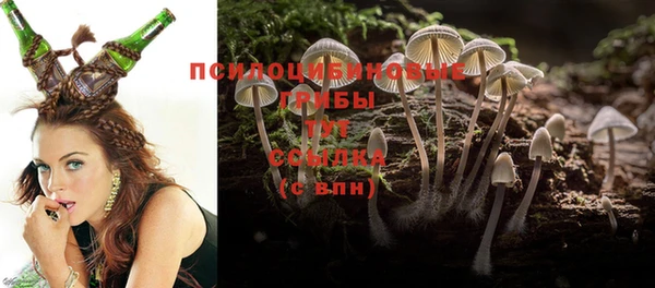 ПСИЛОЦИБИНОВЫЕ ГРИБЫ Козловка