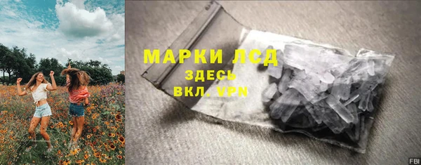 ПСИЛОЦИБИНОВЫЕ ГРИБЫ Козловка