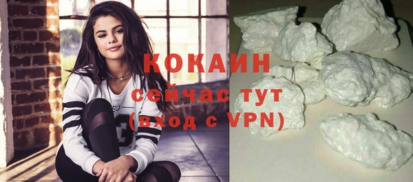 ПСИЛОЦИБИНОВЫЕ ГРИБЫ Козловка