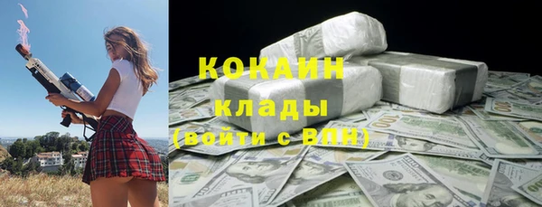 ПСИЛОЦИБИНОВЫЕ ГРИБЫ Козловка