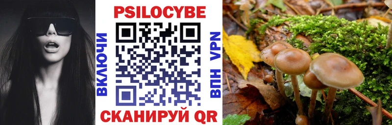 Галлюциногенные грибы Psilocybine cubensis  Мариинск 